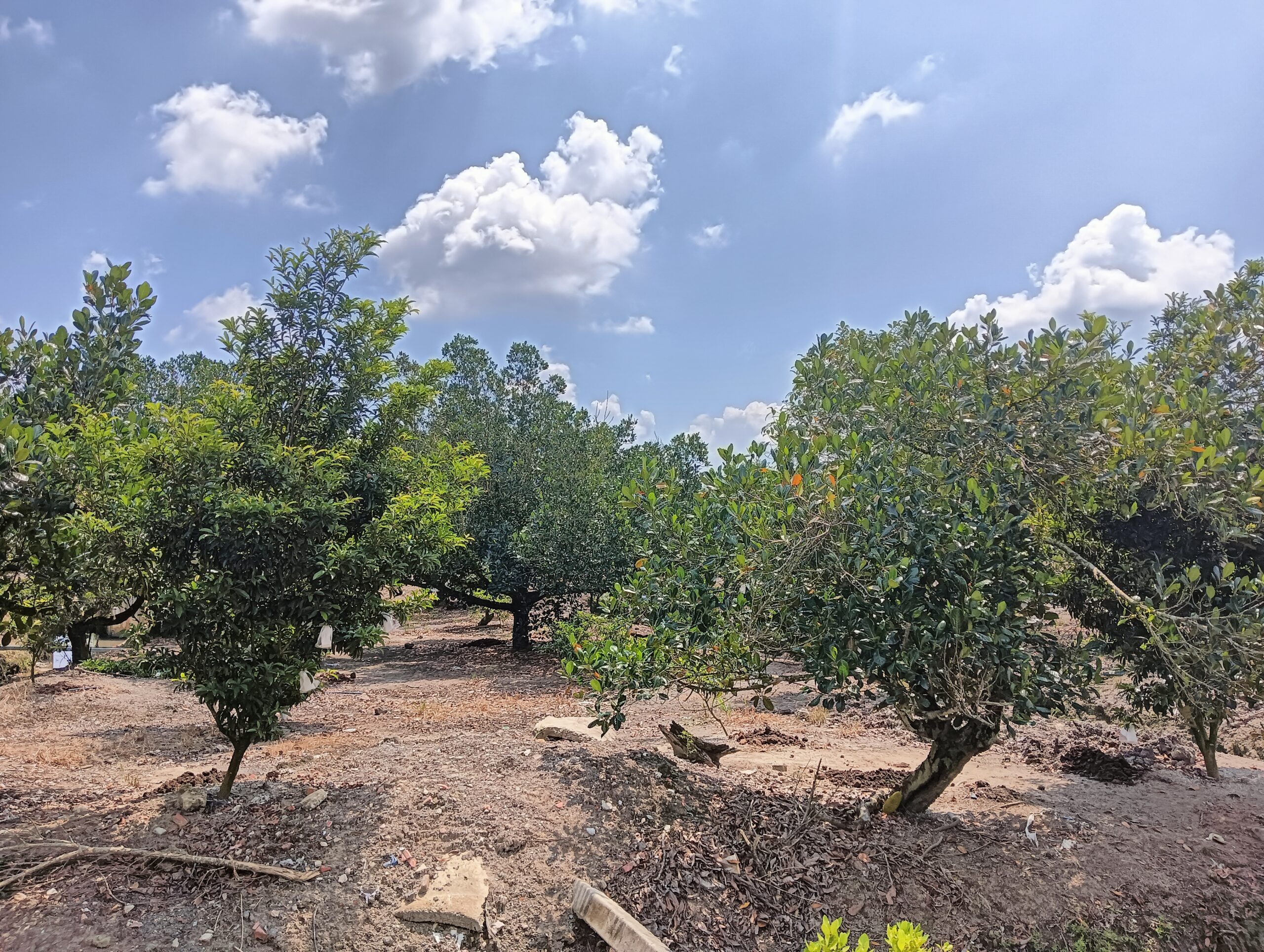 IMG_20250902_114300_970