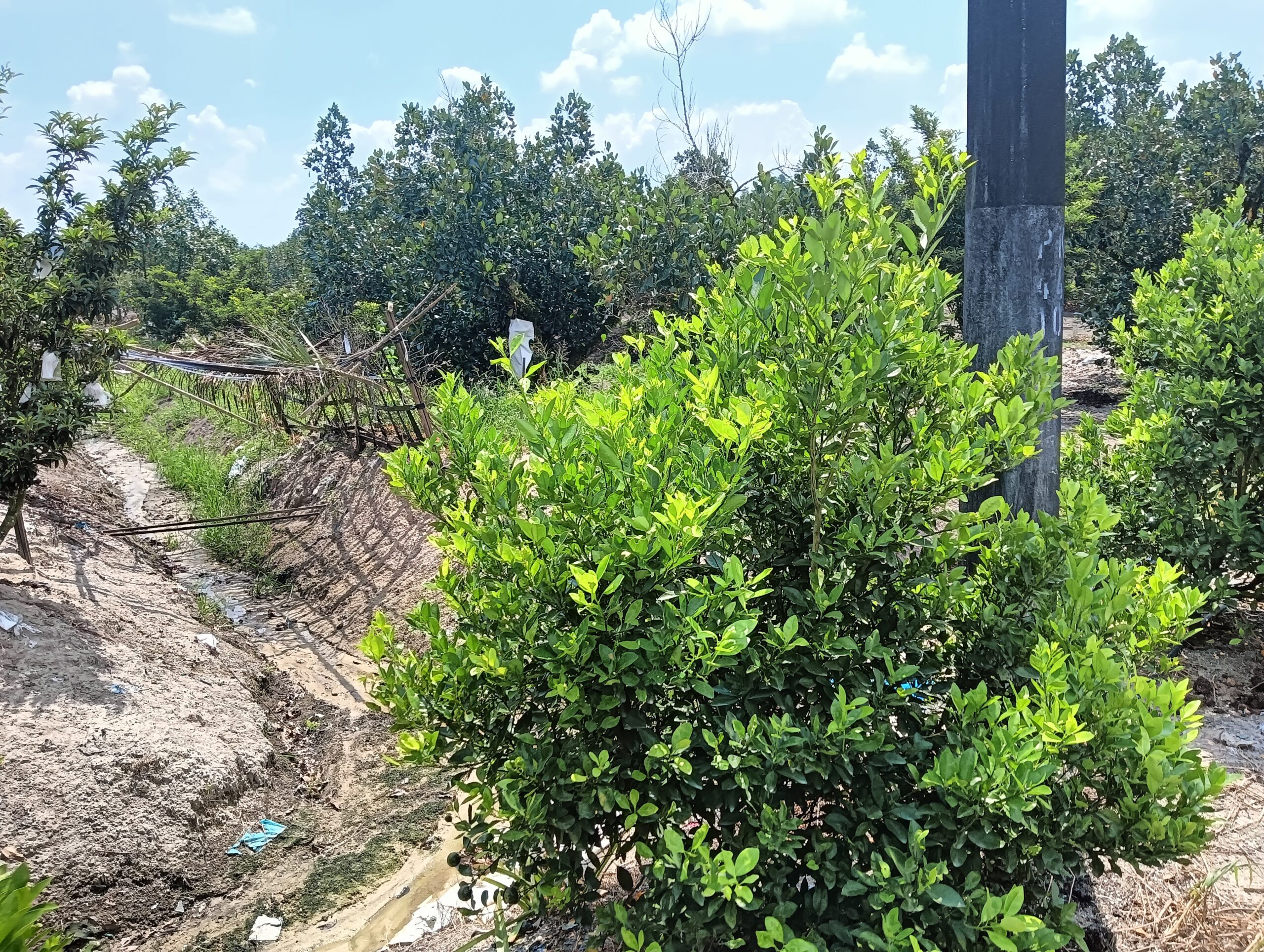 IMG_20250902_114301_187