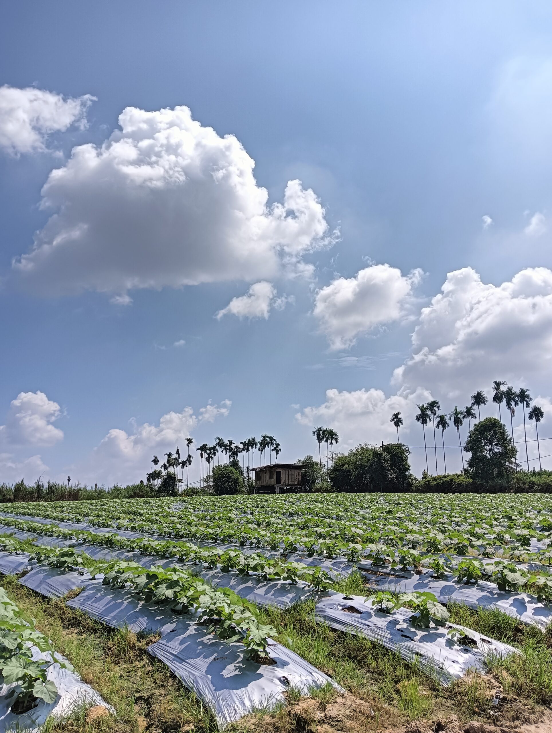 IMG_20250902_114302_609